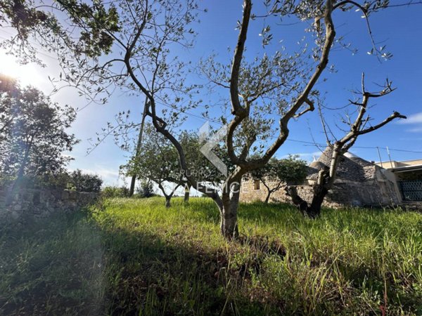 casa indipendente in vendita a Martina Franca