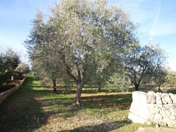 terreno agricolo in vendita a Martina Franca in zona Ortolini