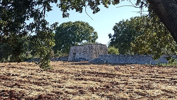 appartamento in vendita a Martina Franca