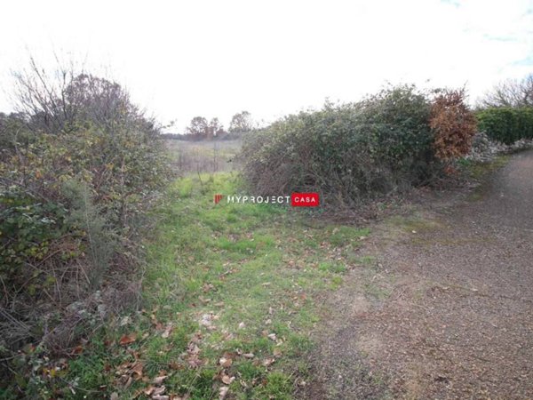terreno agricolo in vendita a Martina Franca