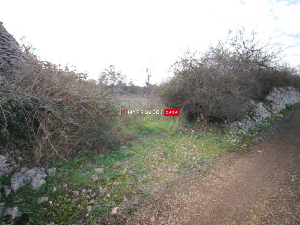 terreno agricolo in vendita a Martina Franca