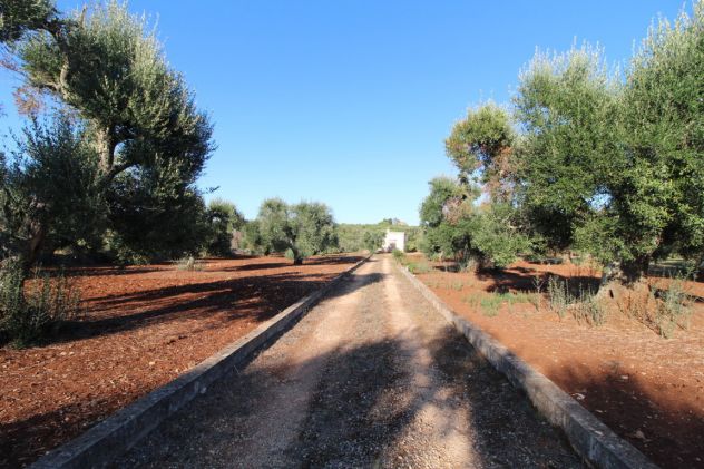 casa indipendente in vendita a Martina Franca