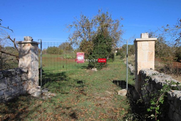 terreno agricolo in vendita a Martina Franca