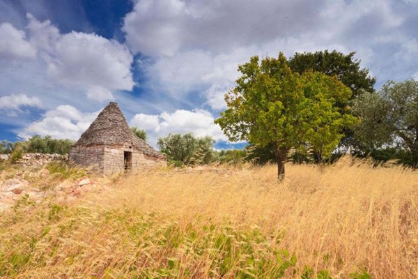 casa indipendente in vendita a Martina Franca in zona Capitolo