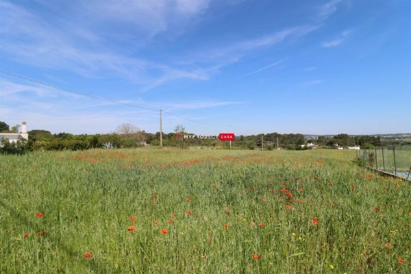 terreno agricolo in vendita a Martina Franca