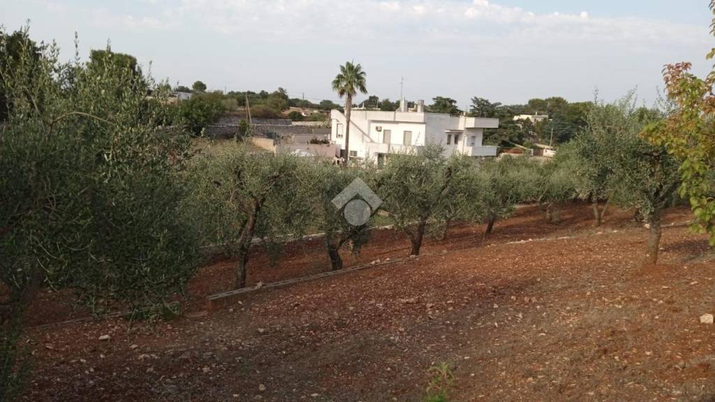 terreno agricolo in vendita a Martina Franca