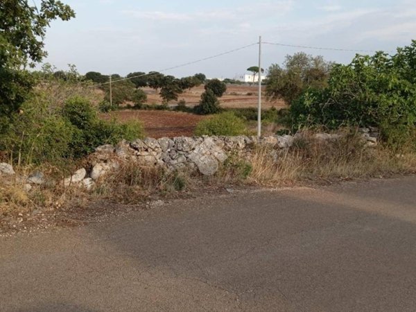 terreno agricolo in vendita a Martina Franca