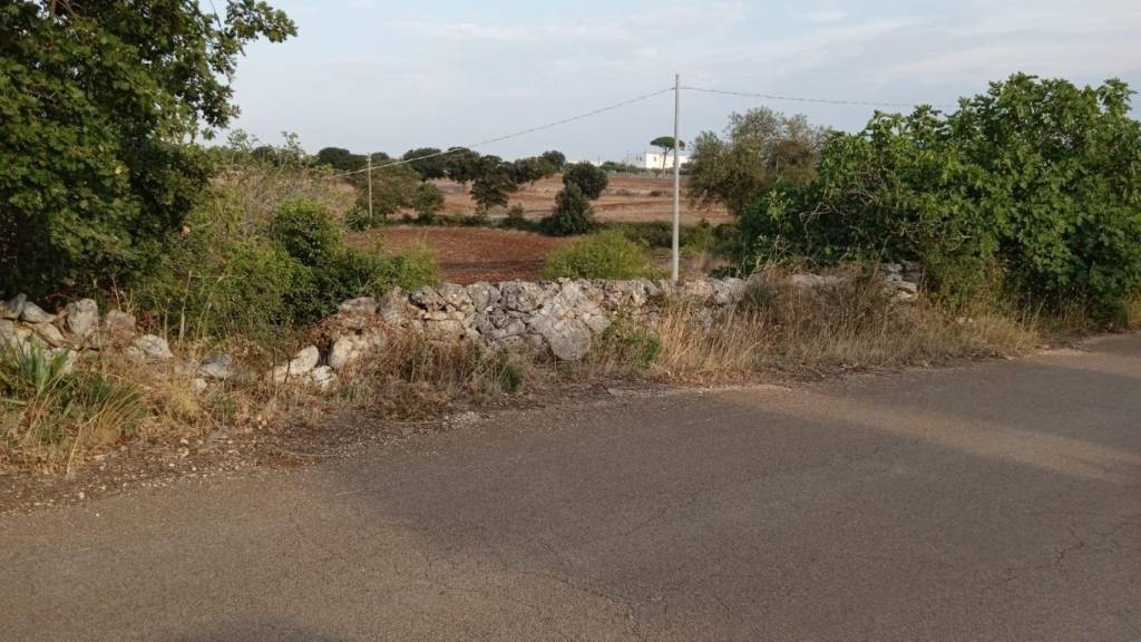 terreno agricolo in vendita a Martina Franca