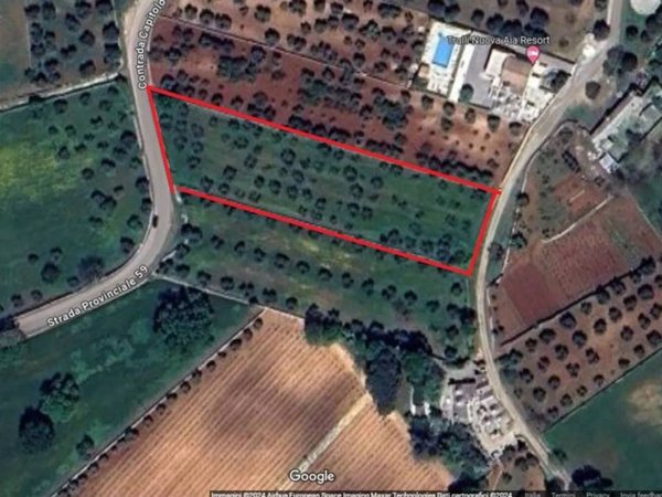 terreno agricolo in vendita a Martina Franca in zona Capitolo