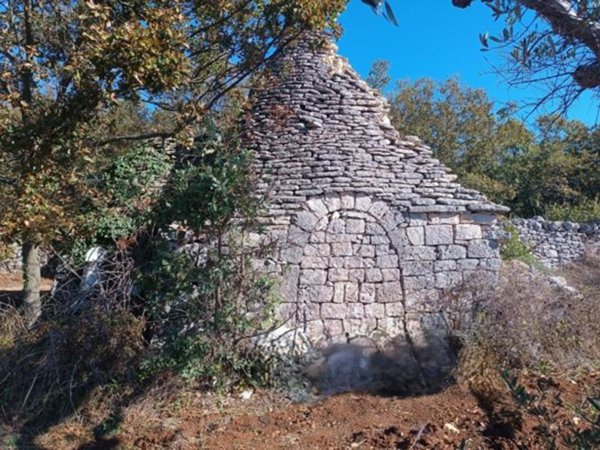 terreno agricolo in vendita a Martina Franca