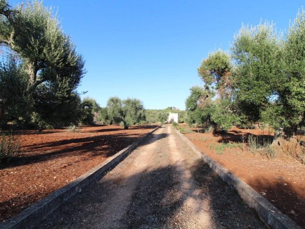 terreno agricolo in vendita a Martina Franca