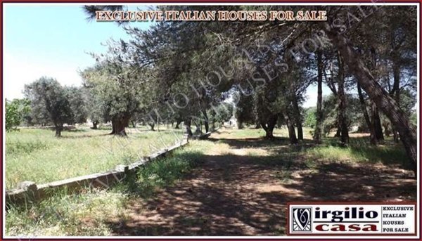 casa indipendente in vendita a Martina Franca