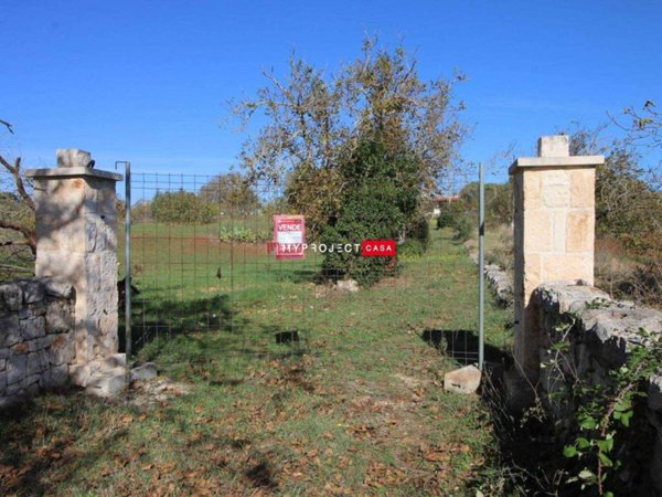 terreno agricolo in vendita a Martina Franca