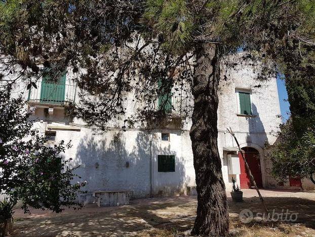 terreno agricolo in vendita a Martina Franca