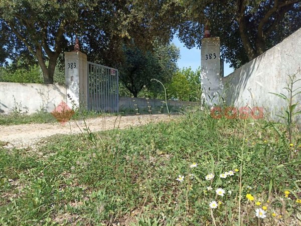 negozio in vendita a Martina Franca in zona Centro Storico