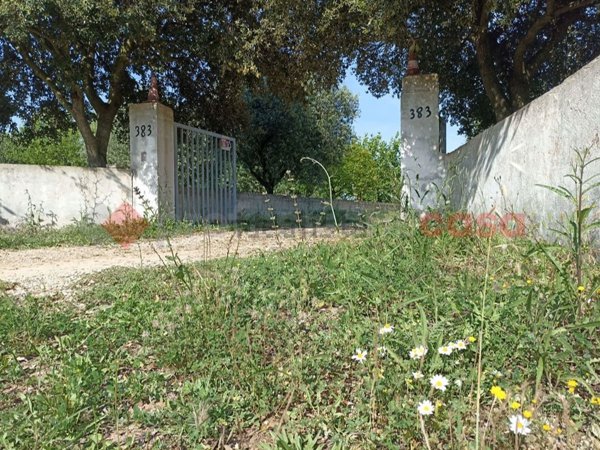 appartamento in vendita a Martina Franca