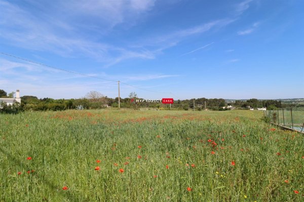 terreno agricolo in vendita a Martina Franca