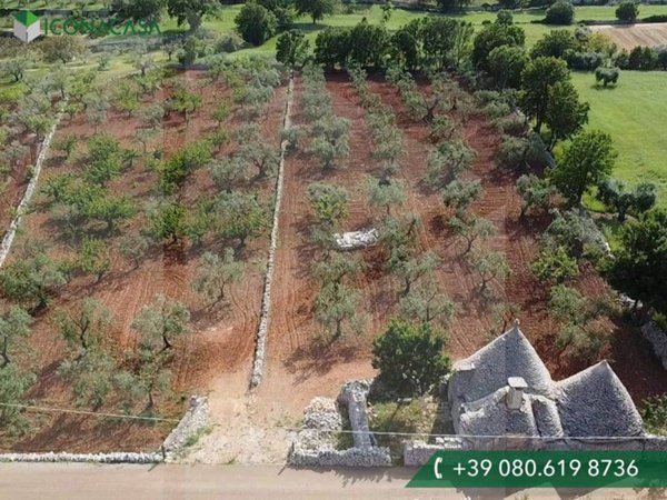 casa indipendente in vendita a Martina Franca in zona Capitolo