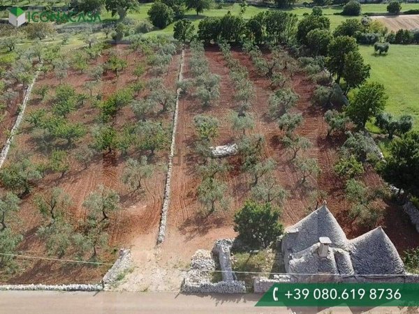 appartamento in vendita a Martina Franca in zona Capitolo