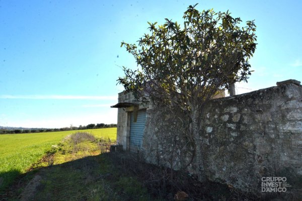 appartamento in vendita a Martina Franca