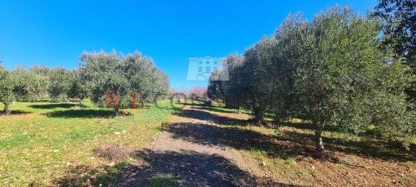 casa indipendente in vendita a Martina Franca