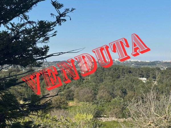 casa indipendente in vendita a Martina Franca in zona Centro Storico