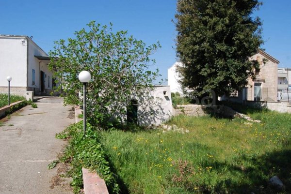 terreno agricolo in vendita a Martina Franca
