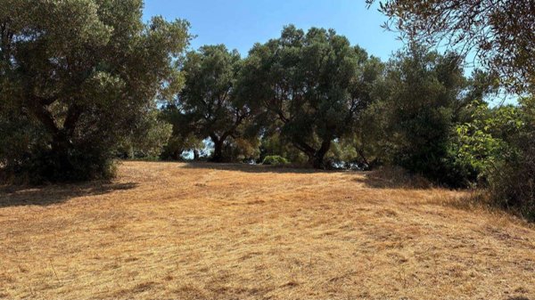 appartamento in vendita a Martina Franca in zona Ortolini