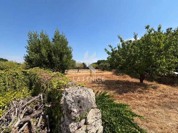 casa indipendente in vendita a Martina Franca