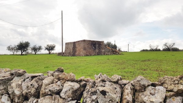 immagine annuncio 0 di 5