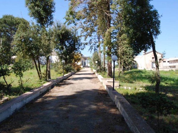 terreno agricolo in vendita a Martina Franca