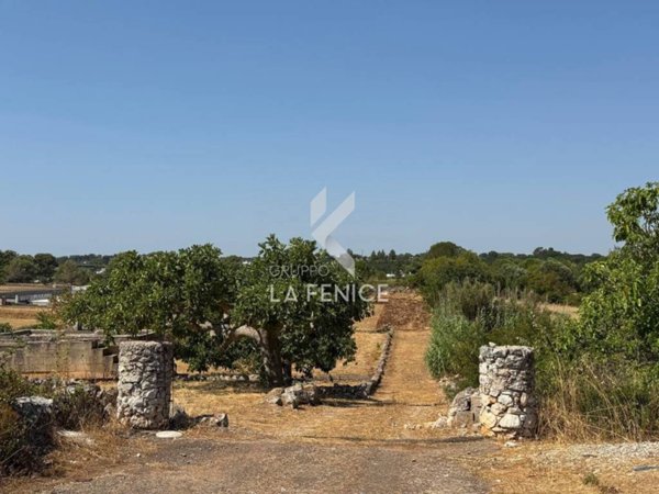 terreno agricolo in vendita a Martina Franca