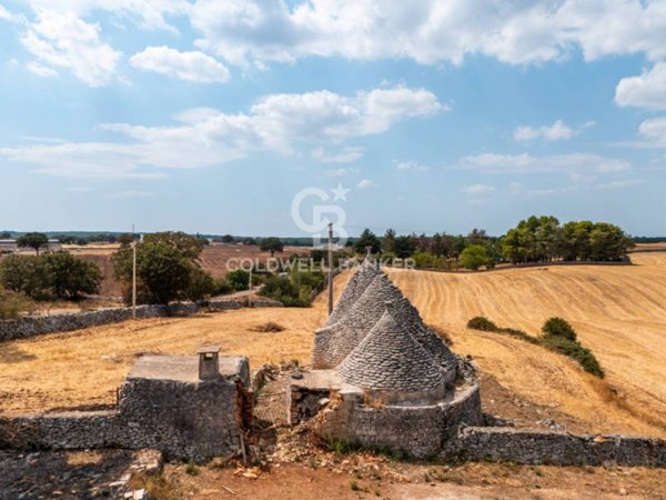 casa indipendente in vendita a Martina Franca in zona Papadomenico