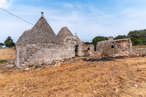 casa indipendente in vendita a Martina Franca in zona Papadomenico