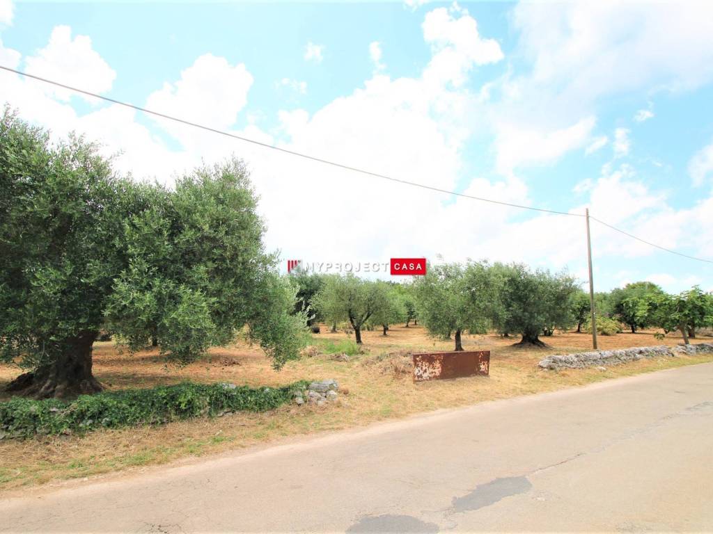 terreno edificabile in vendita a Martina Franca
