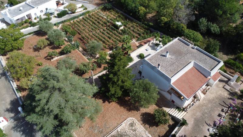 casa indipendente in vendita a Martina Franca