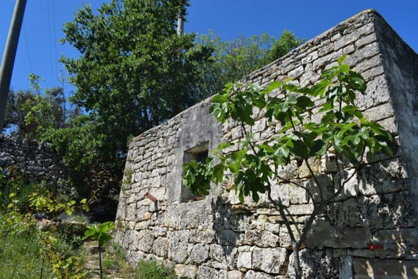 appartamento in vendita a Martina Franca in zona Centro Storico