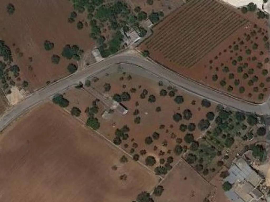 terreno agricolo in vendita a Martina Franca