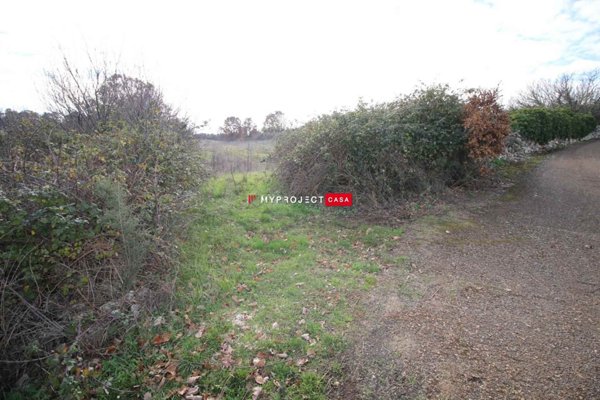 terreno agricolo in vendita a Martina Franca