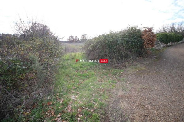 terreno agricolo in vendita a Martina Franca