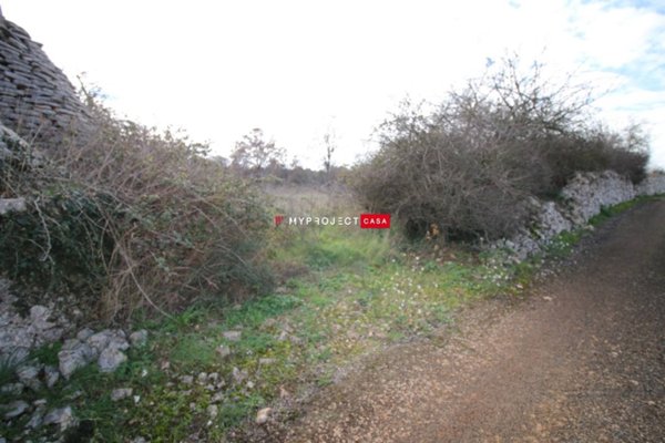 terreno agricolo in vendita a Martina Franca