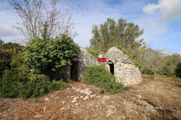 esavano in vendita a Martina Franca