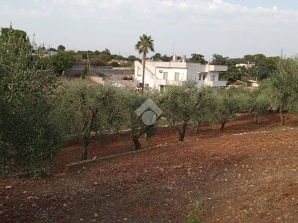 terreno agricolo in vendita a Martina Franca