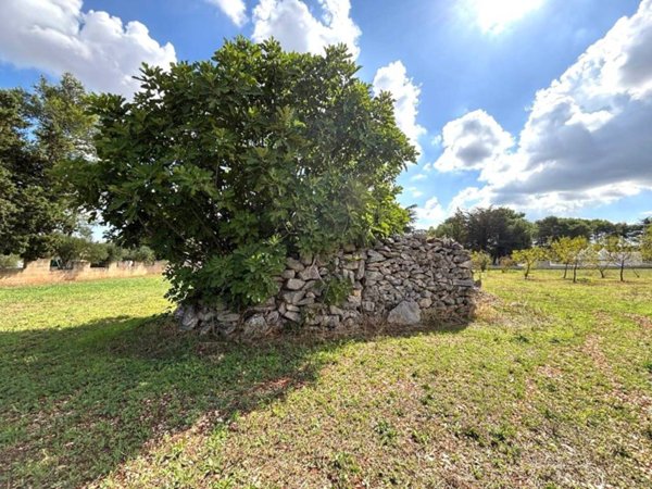 terreno edificabile in vendita a Martina Franca