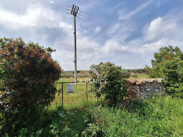 terreno agricolo in vendita a Martina Franca