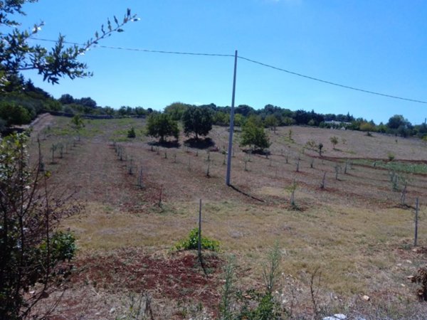 casa indipendente in vendita a Martina Franca