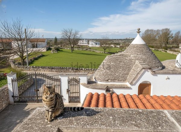 esavano in vendita a Martina Franca