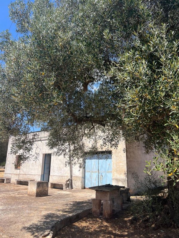 casa indipendente in vendita a Martina Franca