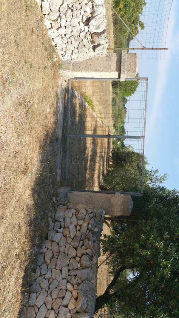 terreno agricolo in vendita a Martina Franca