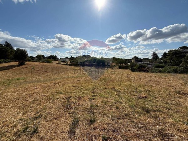 casa indipendente in vendita a Martina Franca